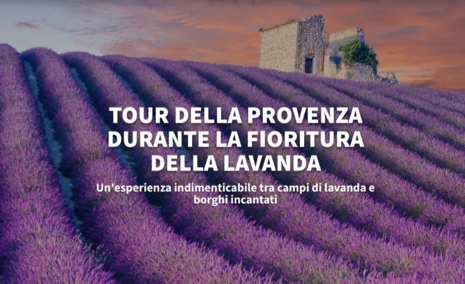 Tour della Provenza 